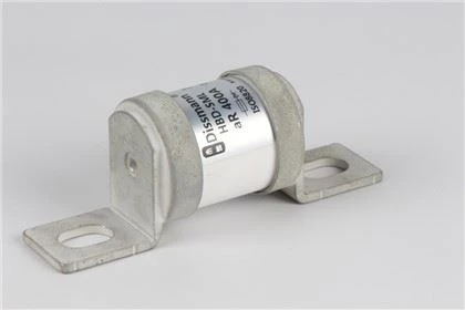 Fusible standard britannique de fusible de DC750V BS88 pour le véhicule électrique